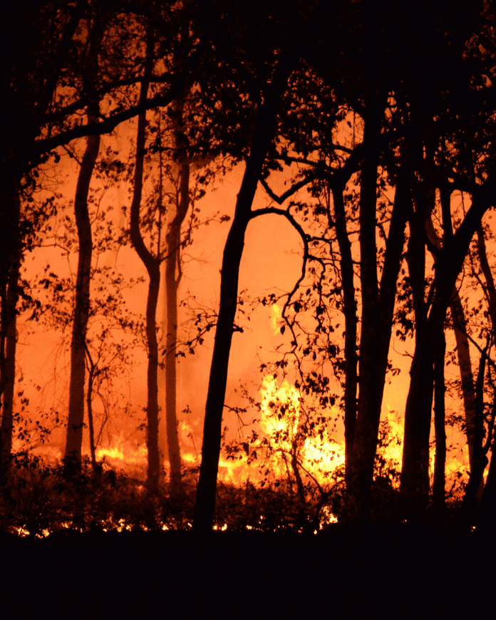 Hatay’da Yangın Seferberliği