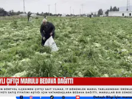 Hataylı Çiftçi Marulu Bedava Dağıttı