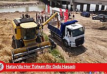 Hatay’da Her Tohum Bir Gıda Hasadı Hatay'da Her Tohum Bir Gıda Hasadı