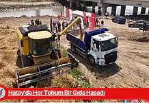 Hatay’da Her Tohum Bir Gıda Hasadı Hatay'da Her Tohum Bir Gıda Hasadı