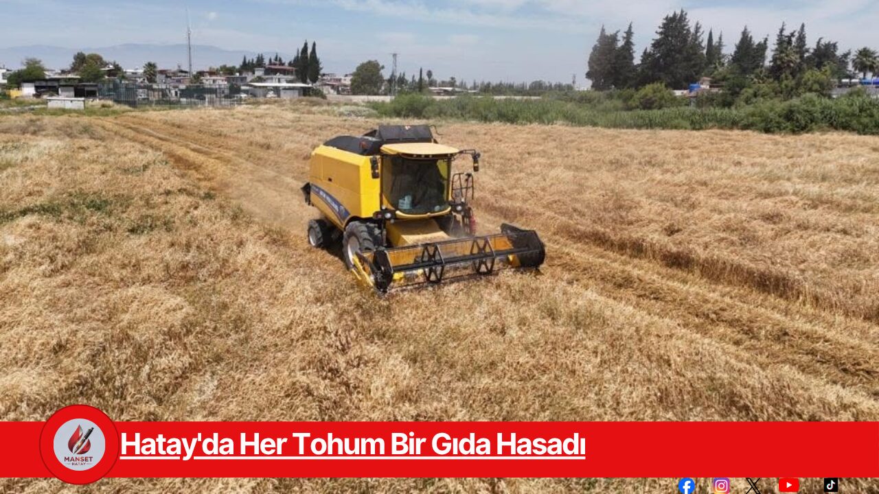 Hatay'da Her Tohum Bir Gıda Hasadı