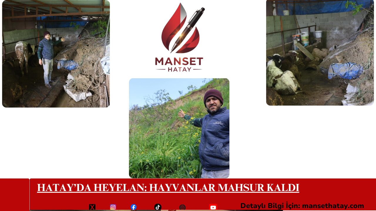 Hatay’da Heyelan: Hayvanlar Mahsur Kaldı