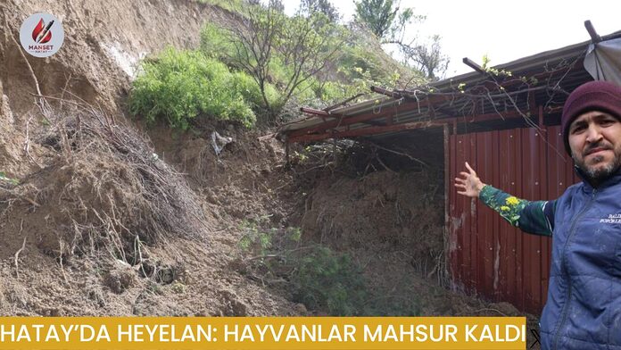 Hatay’da Heyelan: Hayvanlar Mahsur Kaldı