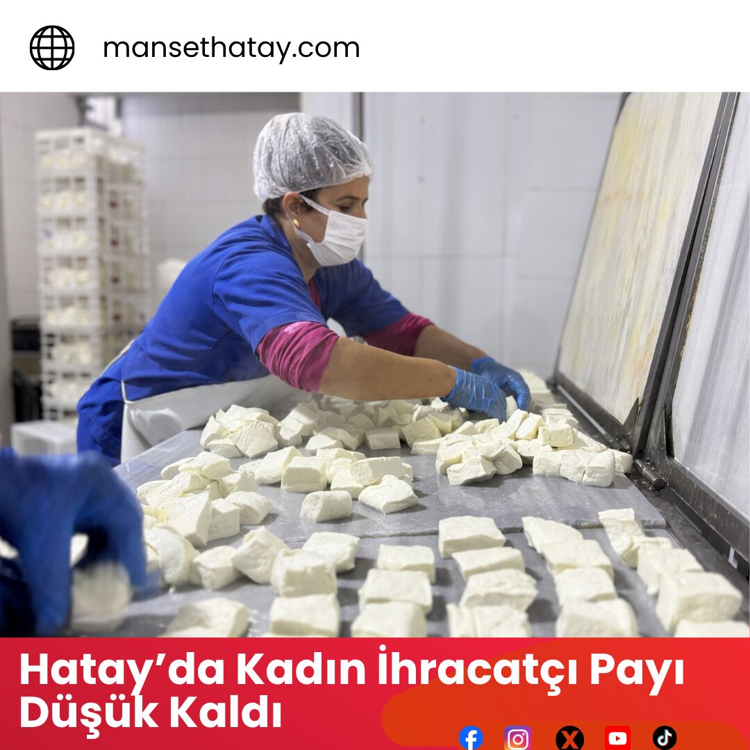Hatay’da Kadın İhracatçı Payı Düşük Kaldı