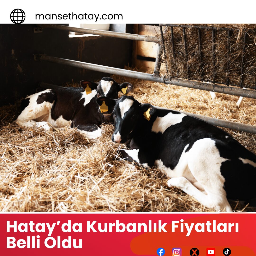 Hatay’da Kurbanlık Fiyatları Belli Oldu