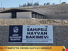 Hatay’da Türkiye’ye Örnek Hayvan Merkezi
