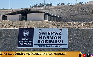 Hatay’da Türkiye’ye Örnek Hayvan Merkezi Hatay’da Türkiye’ye Örnek Hayvan Merkezi
