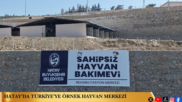 Hatay’da Türkiye’ye Örnek Hayvan Merkezi