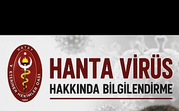 Hatay’dan Hanta Virüsü Açıklaması Hatay’dan Hanta Virüsü Açıklaması