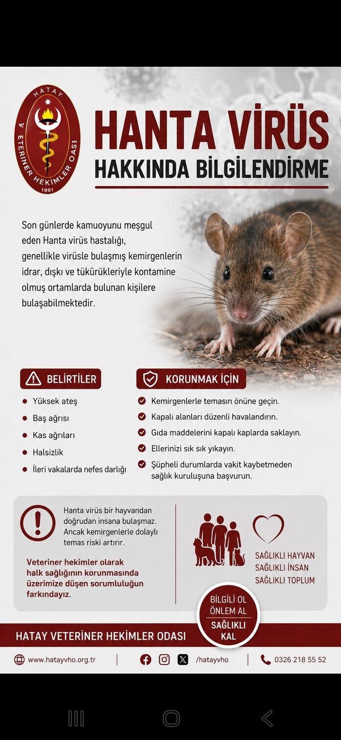Hatay’dan Hanta Virüsü Açıklaması