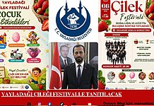 Yayladağı Çileği Festivalle Tanıtılacak Yayladağı Çileği Festivalle Tanıtılacak