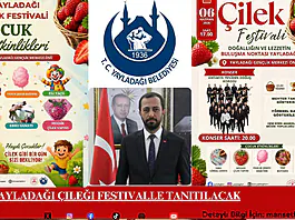 Yayladağı Çileği Festivalle Tanıtılacak