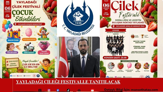 Yayladağı Çileği Festivalle Tanıtılacak